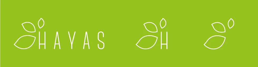 HAYAS AGENCIA DE MARKETING - DISEÑADOR GRÁFICO FREELANCE MADRID ALRUBI
