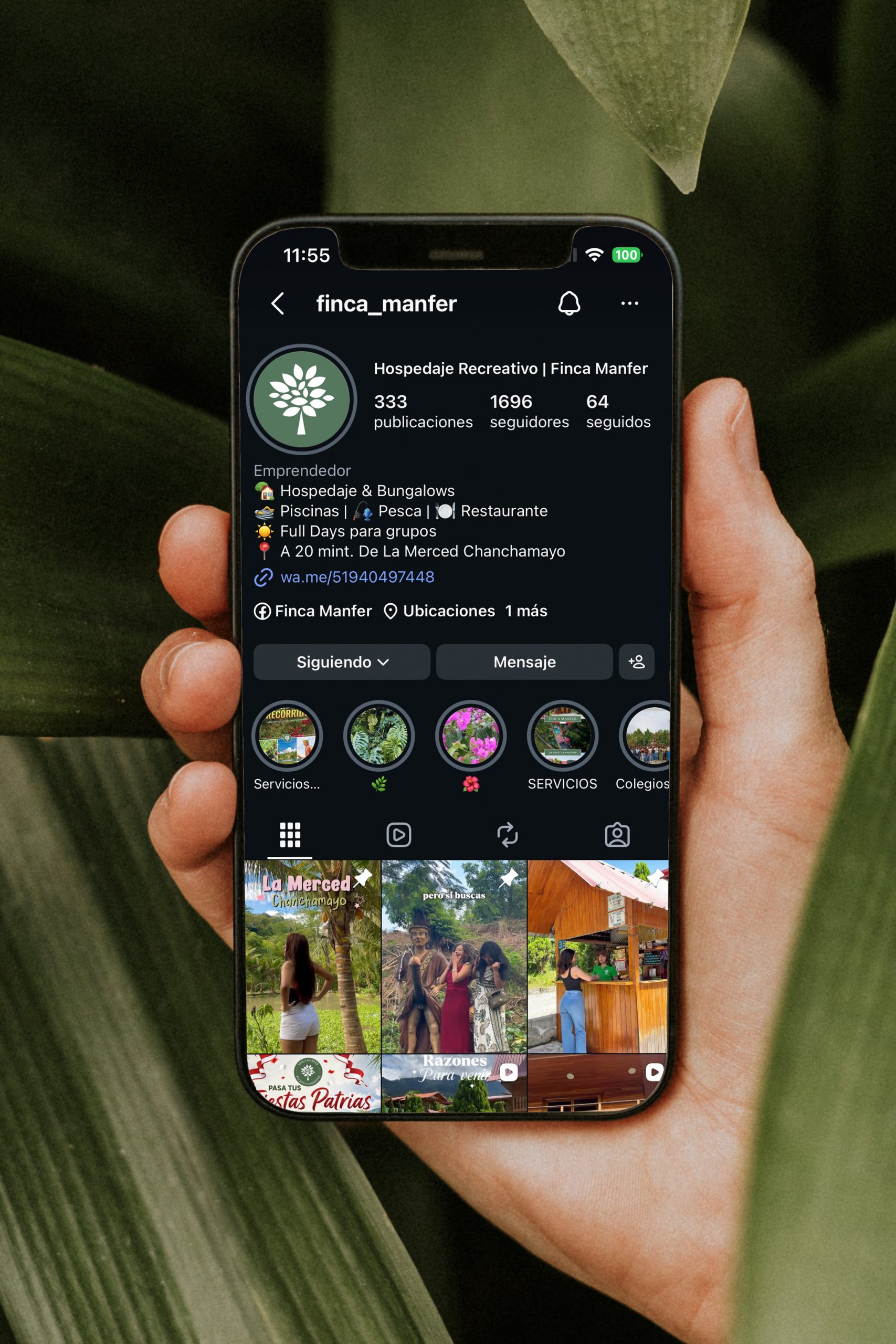 Diseño de publicaciones para redes sociales con identidad visual de marca