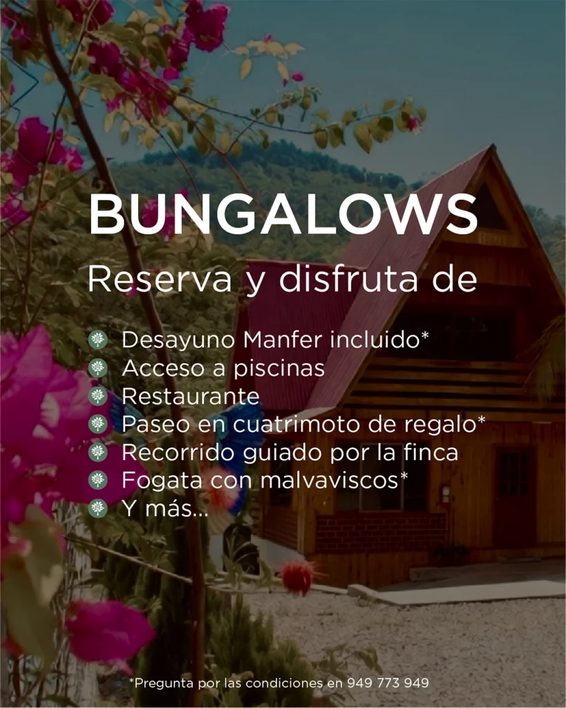 Diseño de publicación promocional para Instagram como ejemplo de contenido visual creado para redes sociales de empresas.