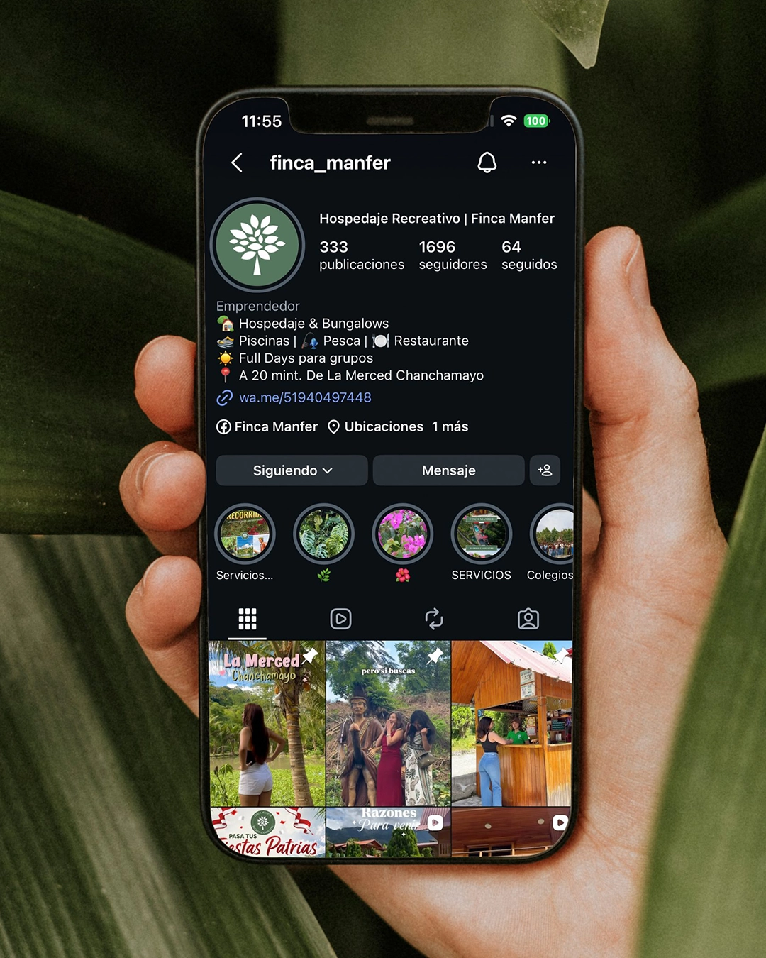 Perfil de Instagram diseñado con una identidad visual profesional para mejorar la imagen de marca y la comunicación en redes sociales.