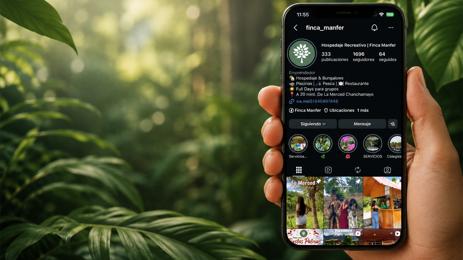 Diseño para redes sociales profesional con gestión visual de Instagram para empresas y marcas.