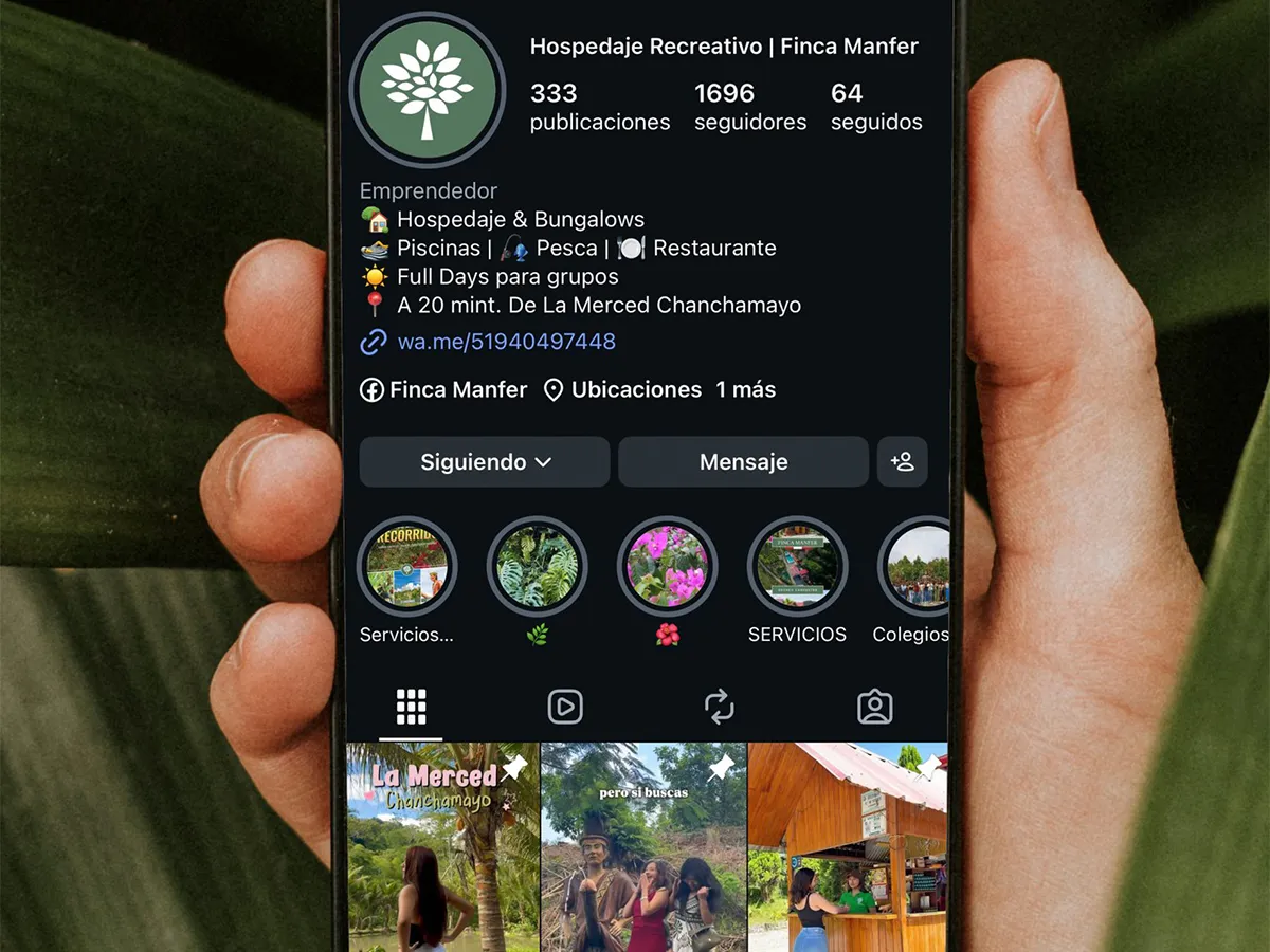 Diseño y edición de contenido para redes sociales mostrado en un perfil de Instagram.