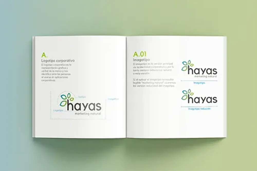 Manual de identidad visual profesional desarrollado como parte de un proyecto de branding.